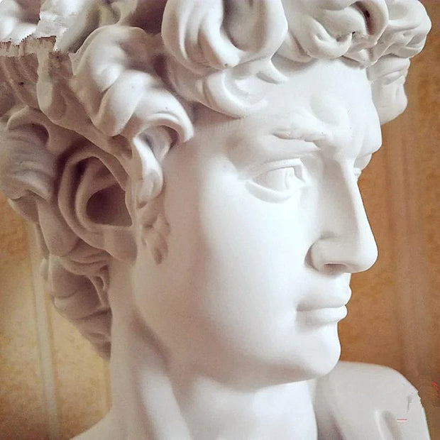 David's Head