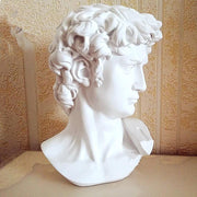 David's Head